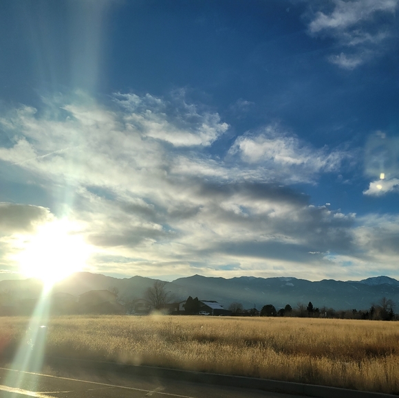 Meet your Posher, Allison - Picture 1 of 1